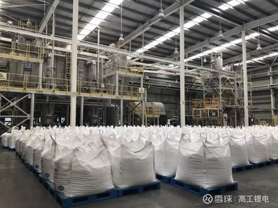 走進(jìn)天齊張家港生產(chǎn)基地 波創(chuàng)電氣實(shí)地評估智能制造新風(fēng)貌