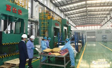 自然資源部領(lǐng)導(dǎo)赴淮調(diào)研 深化節(jié)約集約利用，評估成效促發(fā)展